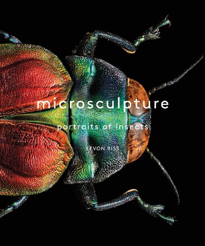Microsculpture Portraits Of Insects Vearsa Levon Biss