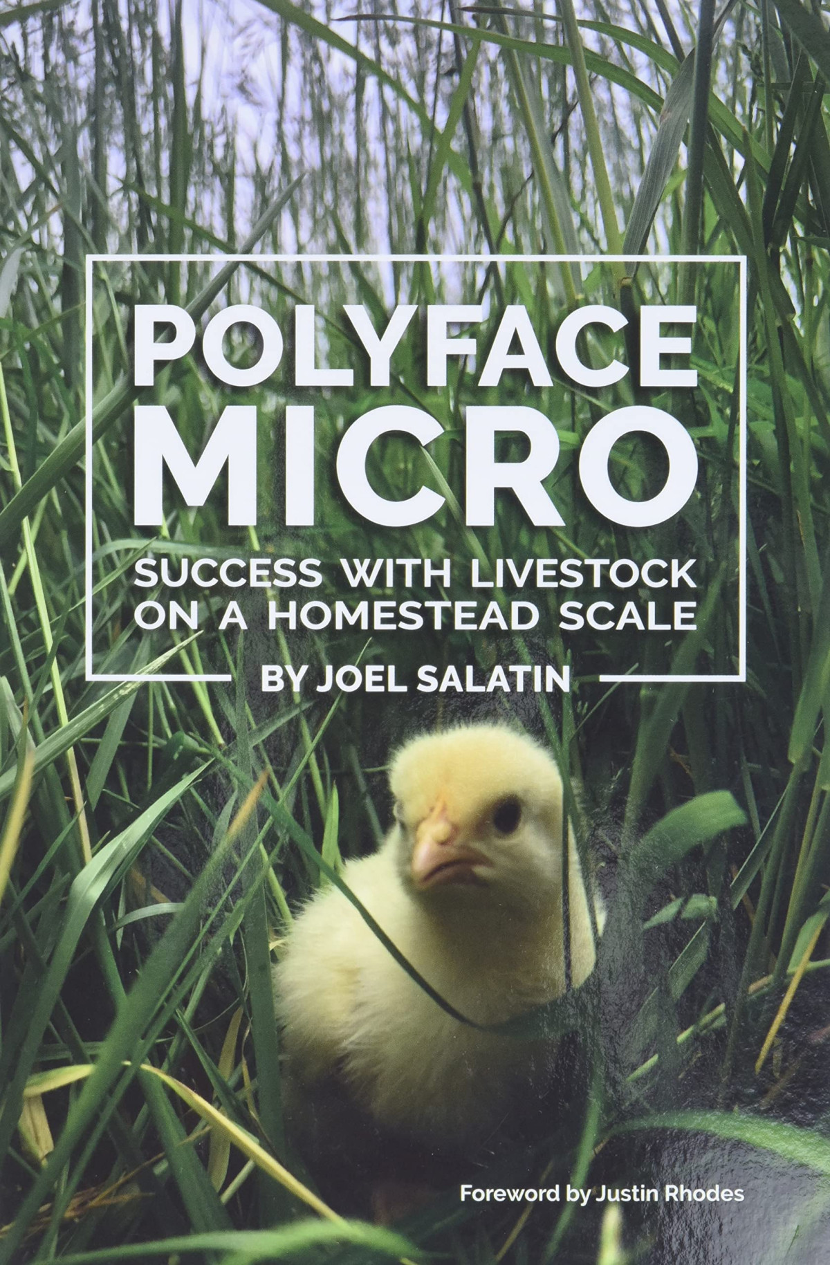 Polyface Micro Success With Livestock On A Homestead Scale Joel Salatin