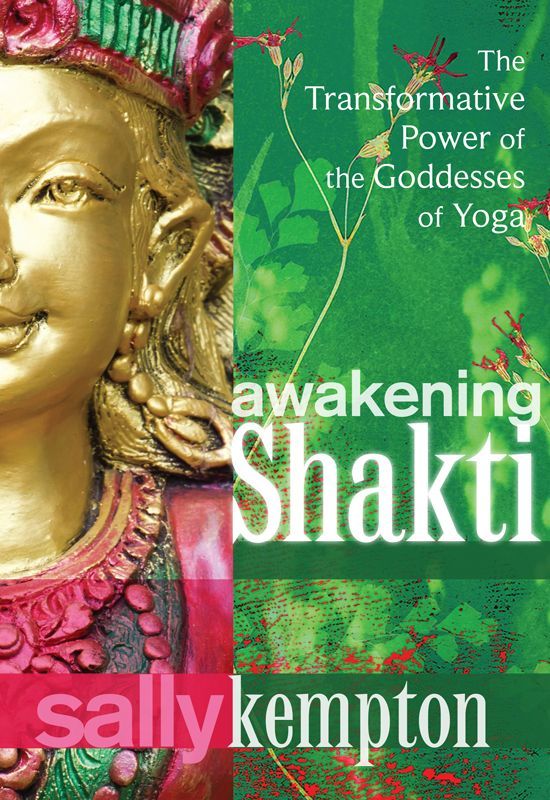 Awakening Shakti The Transformative Power Of The Goddesses Of Yoga Sally Kempton