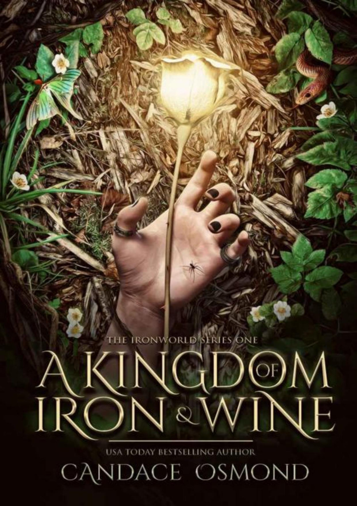 A Kingdom Of Iron Wine New Adult Fantasy Romance The Ironworld Series Book 1 Candace Osmond