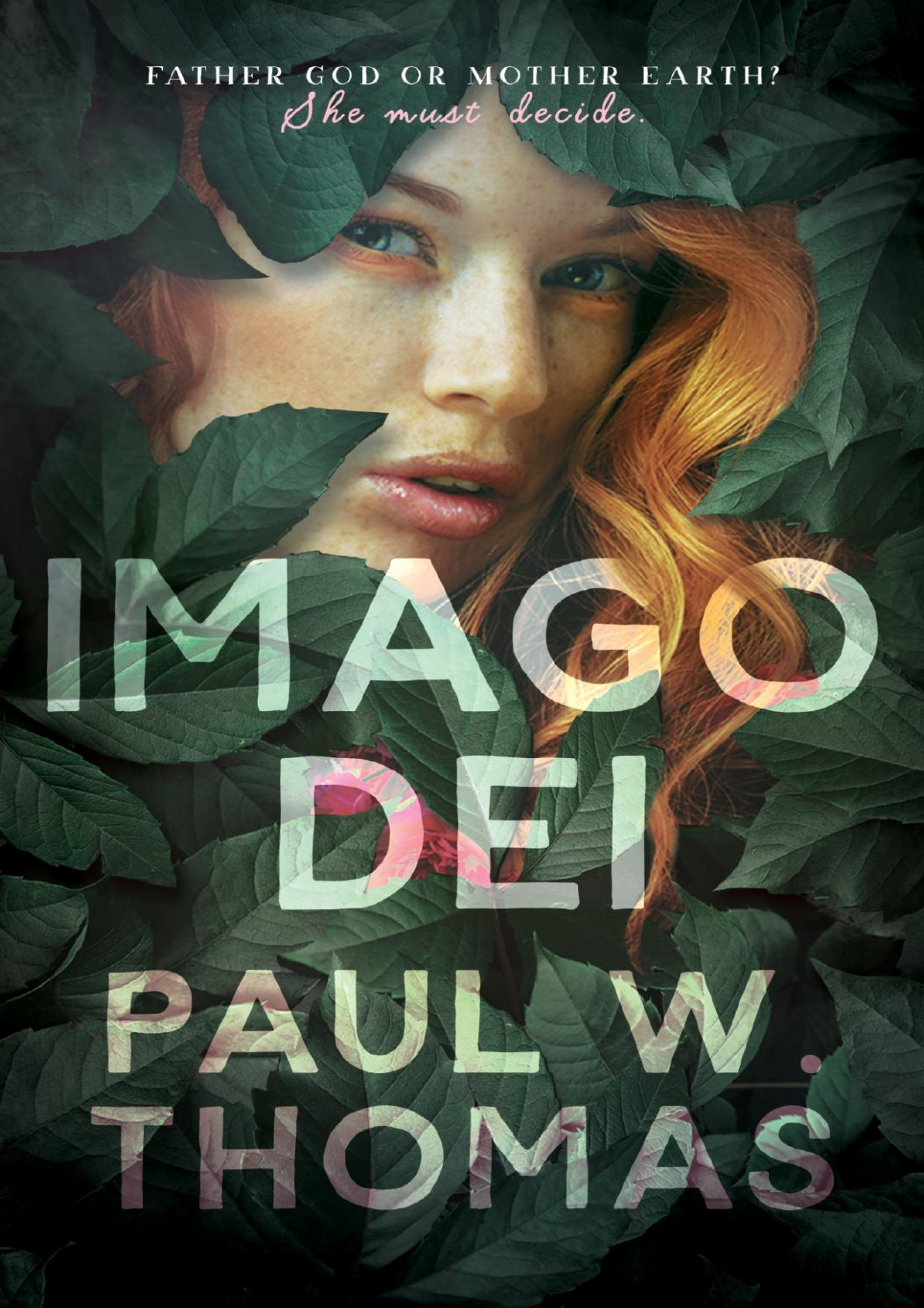 Imago Dei Paul W Thomas