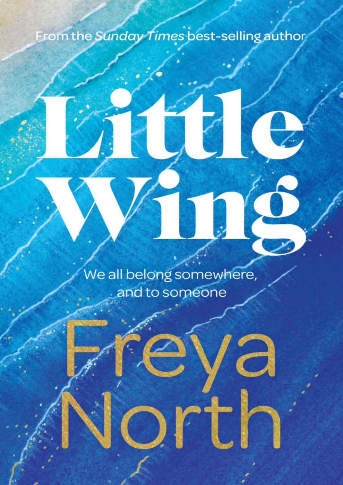 Little Wing Freya North