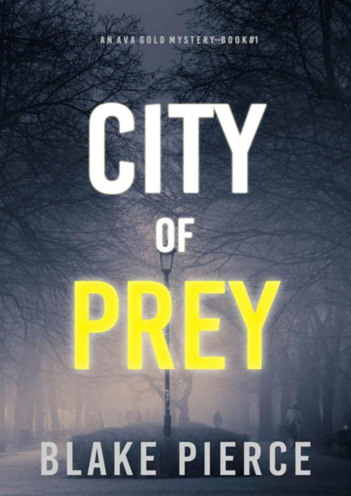 City Of Prey An Ava Gold Mystery Book 1 Blake Pierce