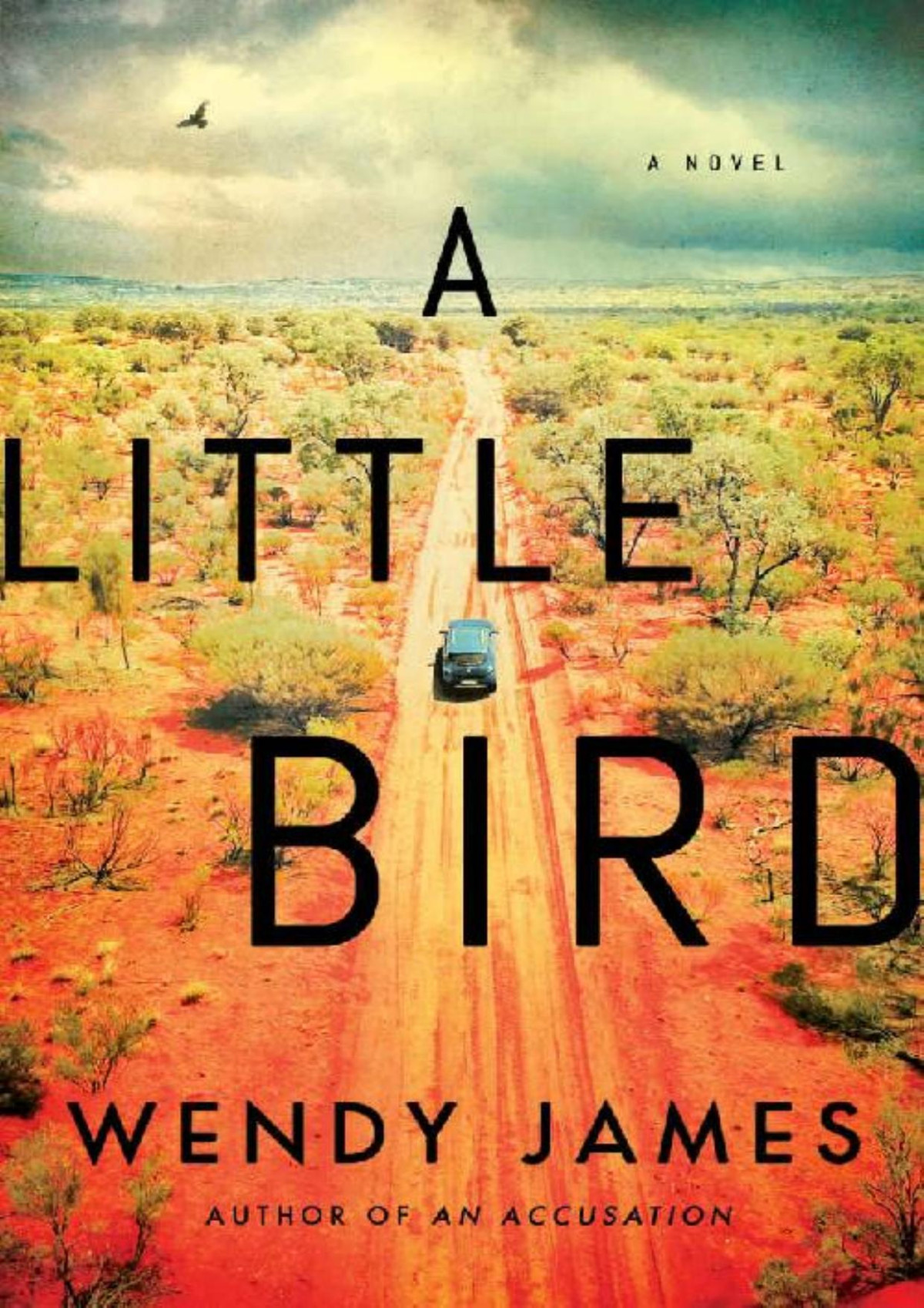 A Little Bird A Novel Wendy James