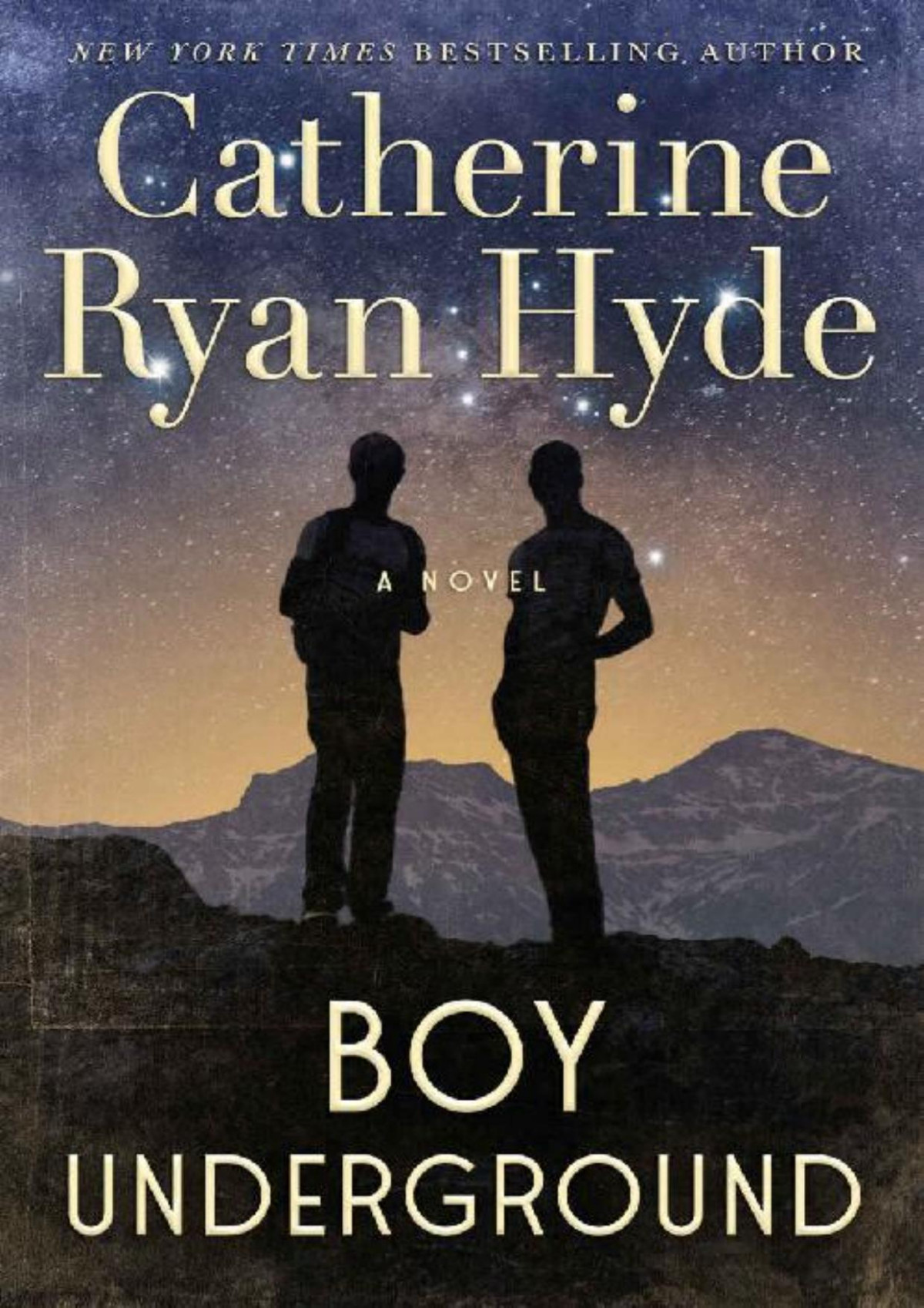 Boy Underground A Novel Catherine Ryan Hyde