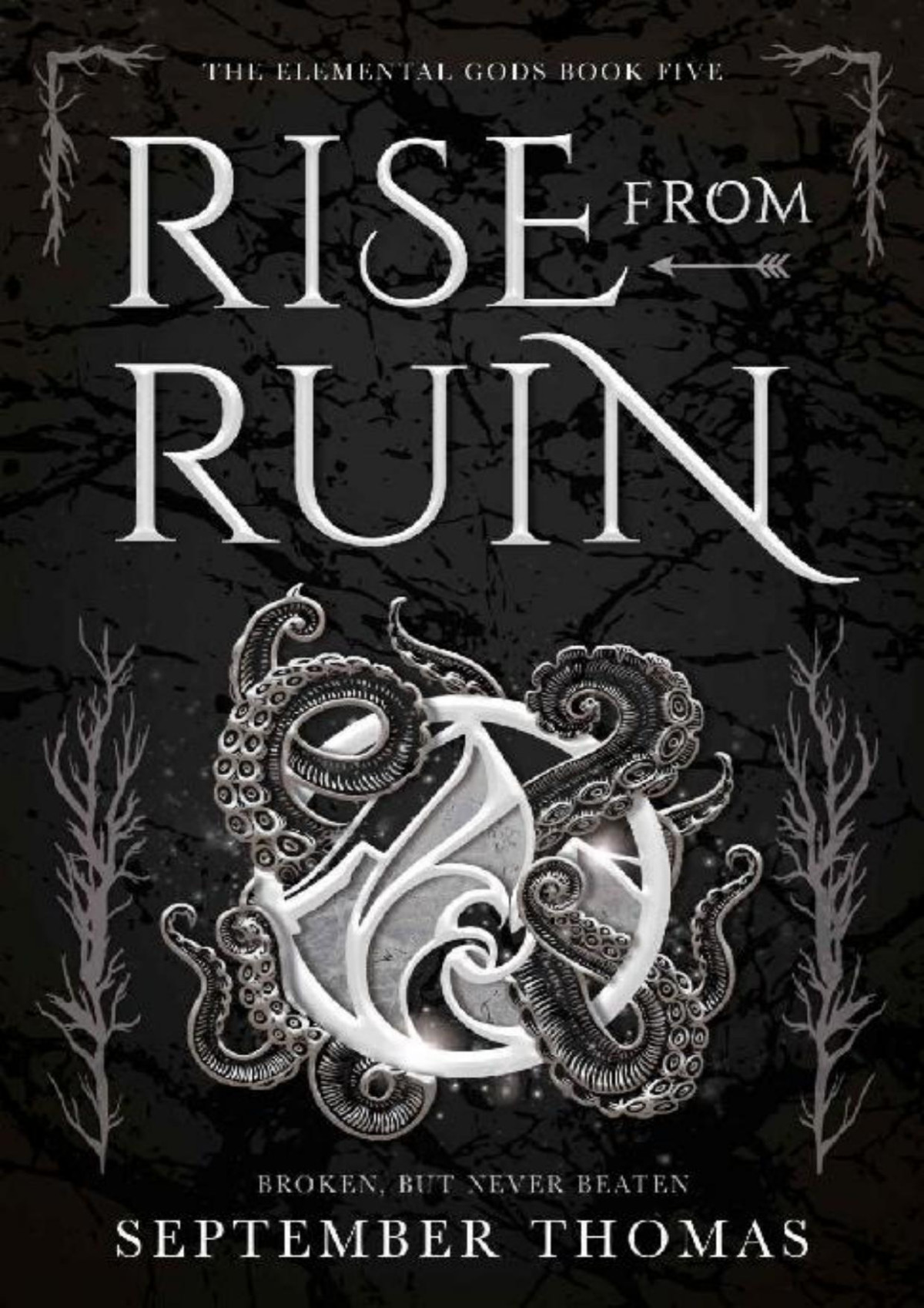 Rise From Ruin The Elemental Gods Book Five September Thomas