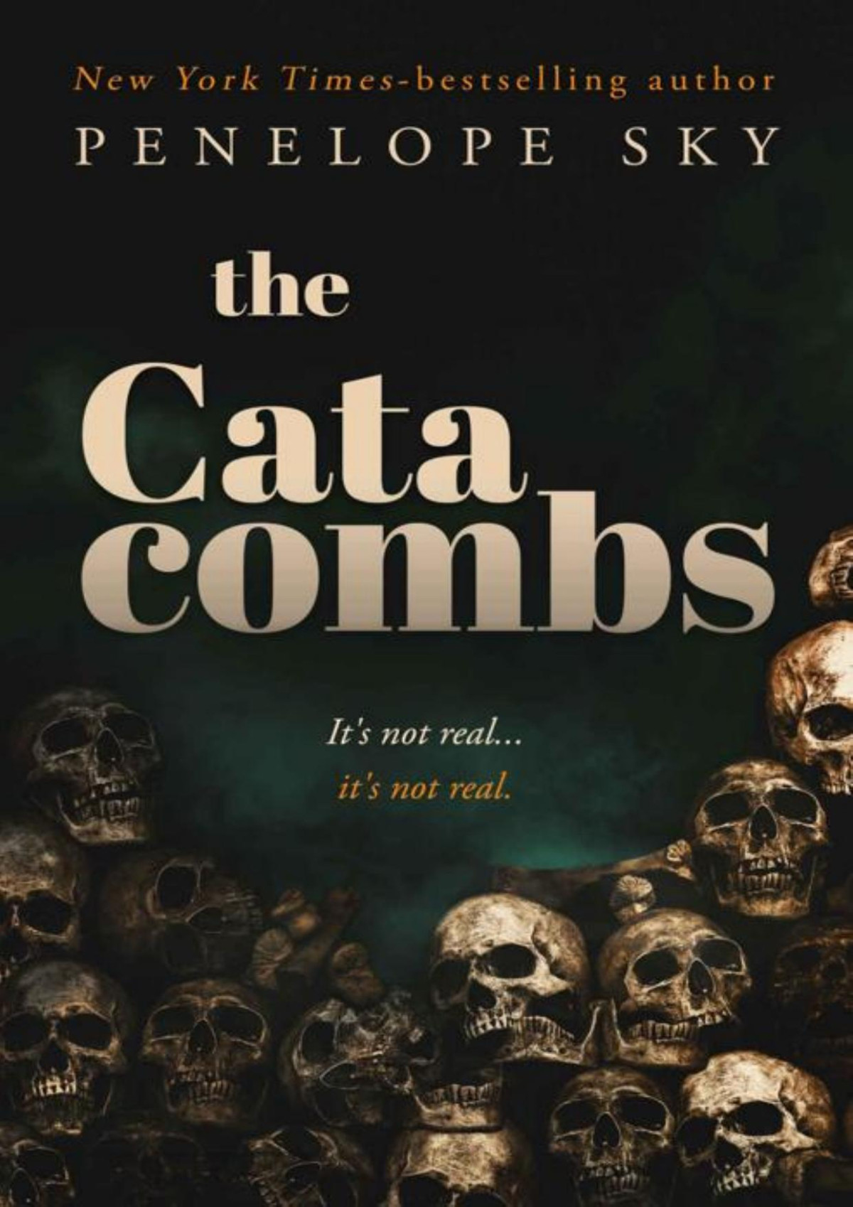 The Catacombs Cult Book 2 Penelope Sky