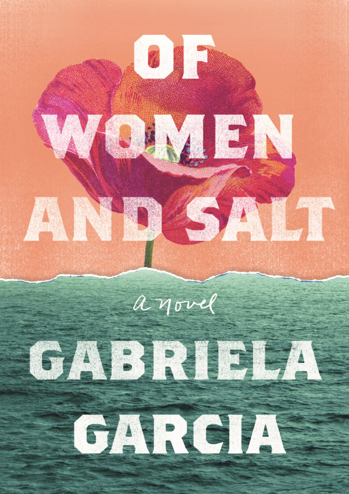 Of Women And Salt Gabriela Garcia