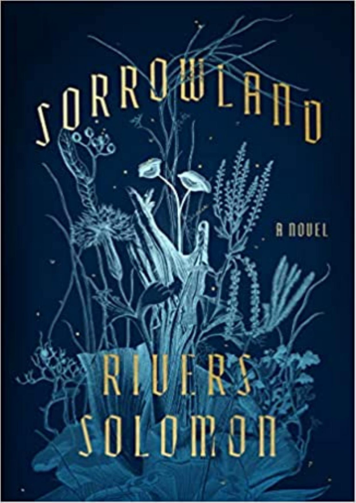 Sorrowland Rivers Solomon