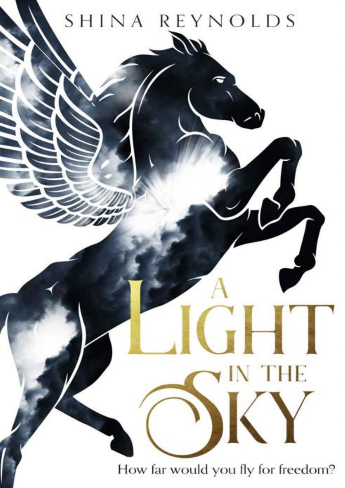A Light In The Sky Clashing Skies Book 1 Shina Reynolds