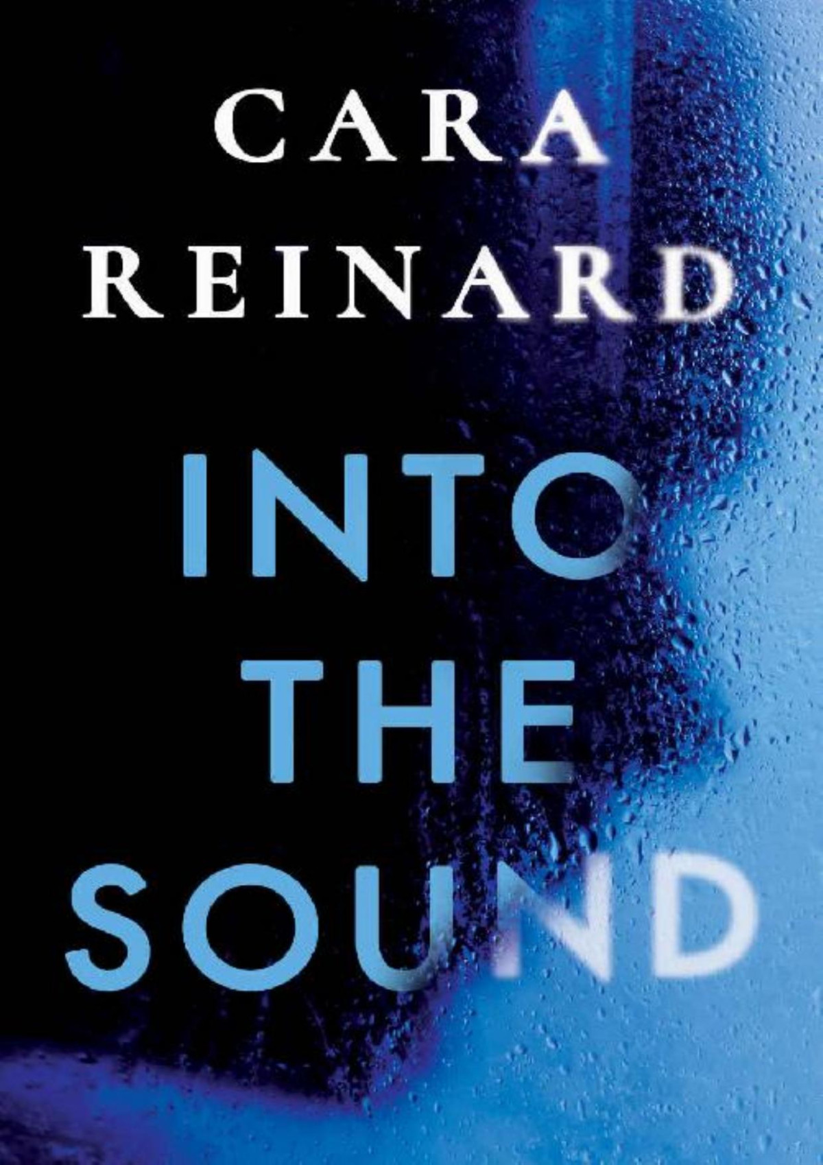 Into The Sound Cara Reinard