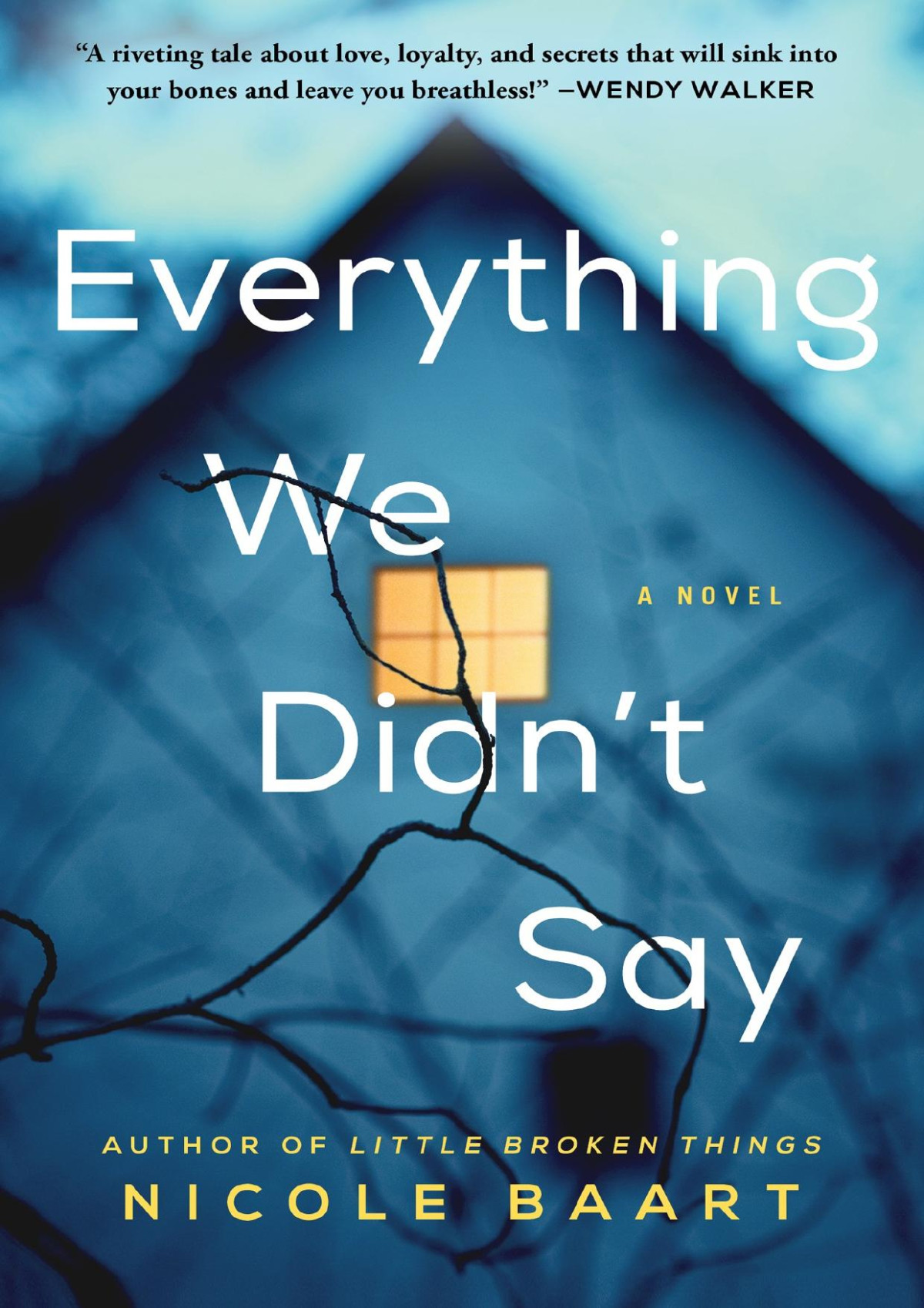 Everything We Didnt Say A Novel Nicole Baart