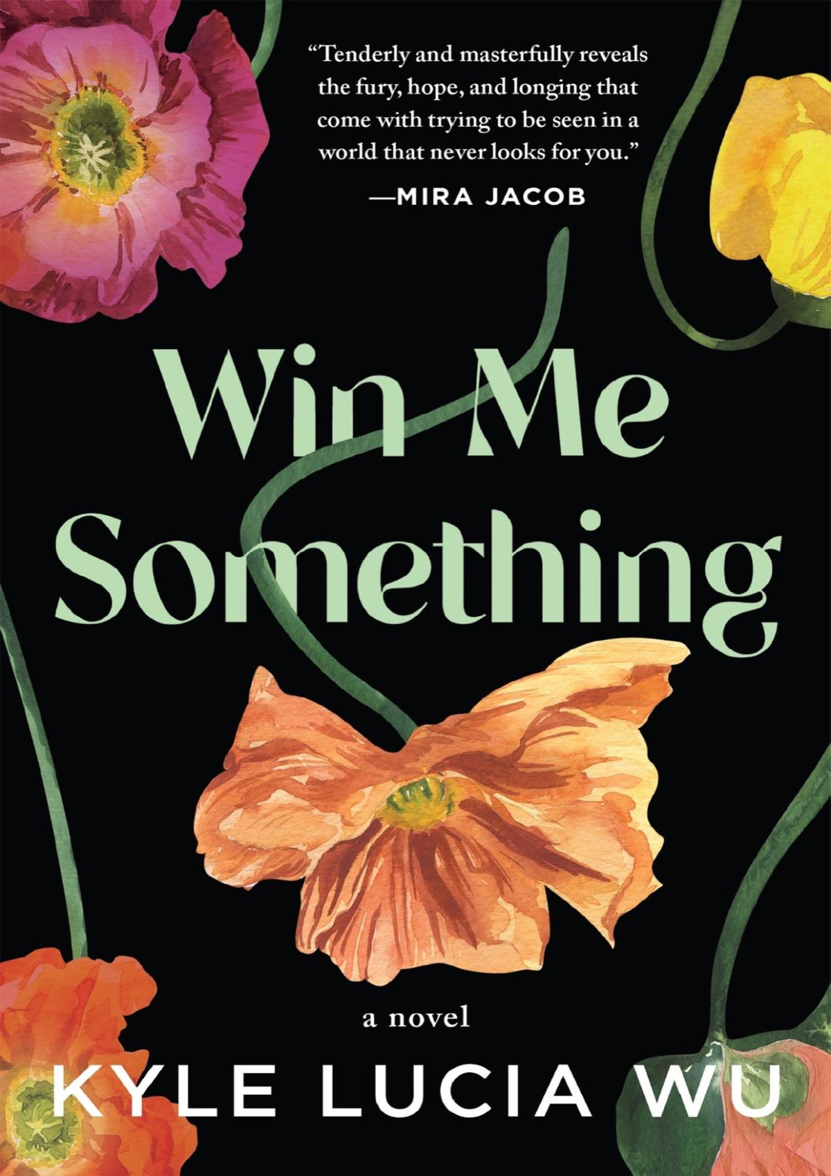 Win Me Something A Novel Kyle Lucia Wu