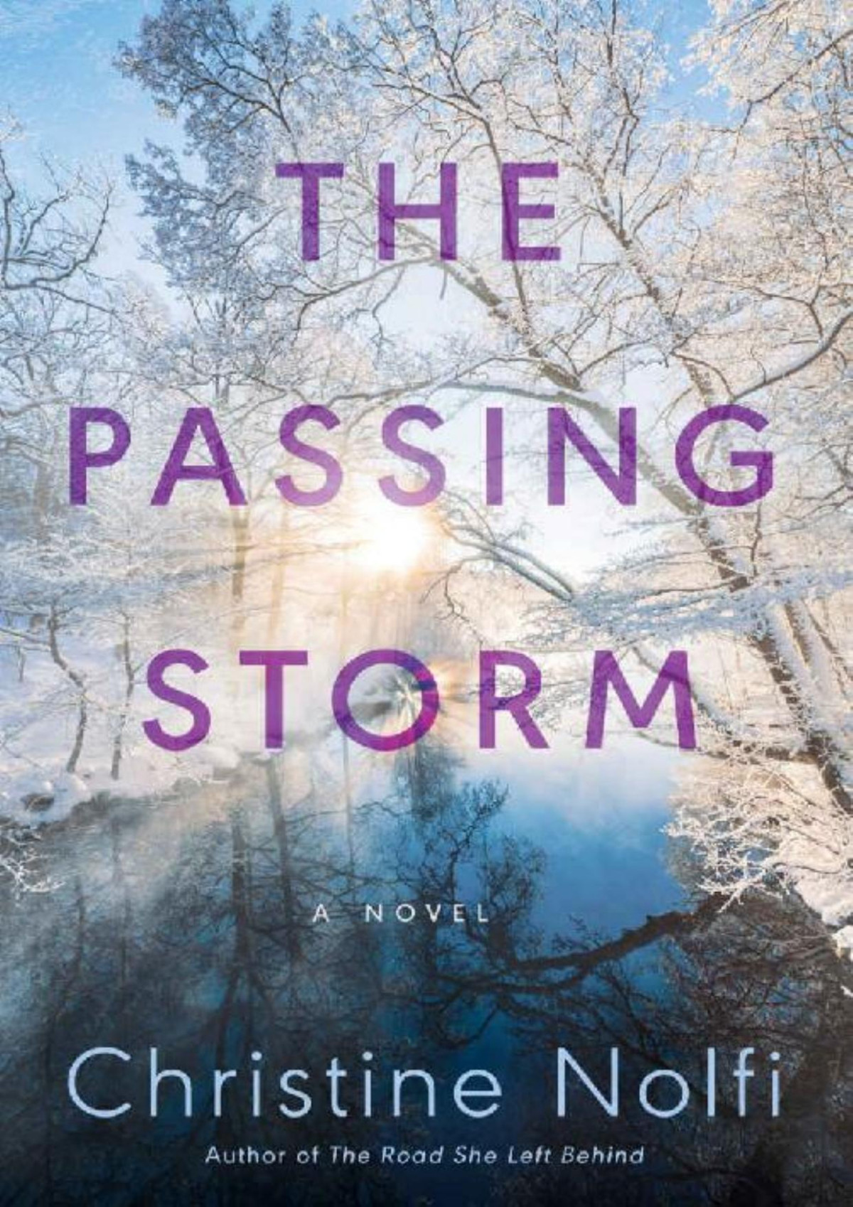 The Passing Storm A Novel Christine Nolfi