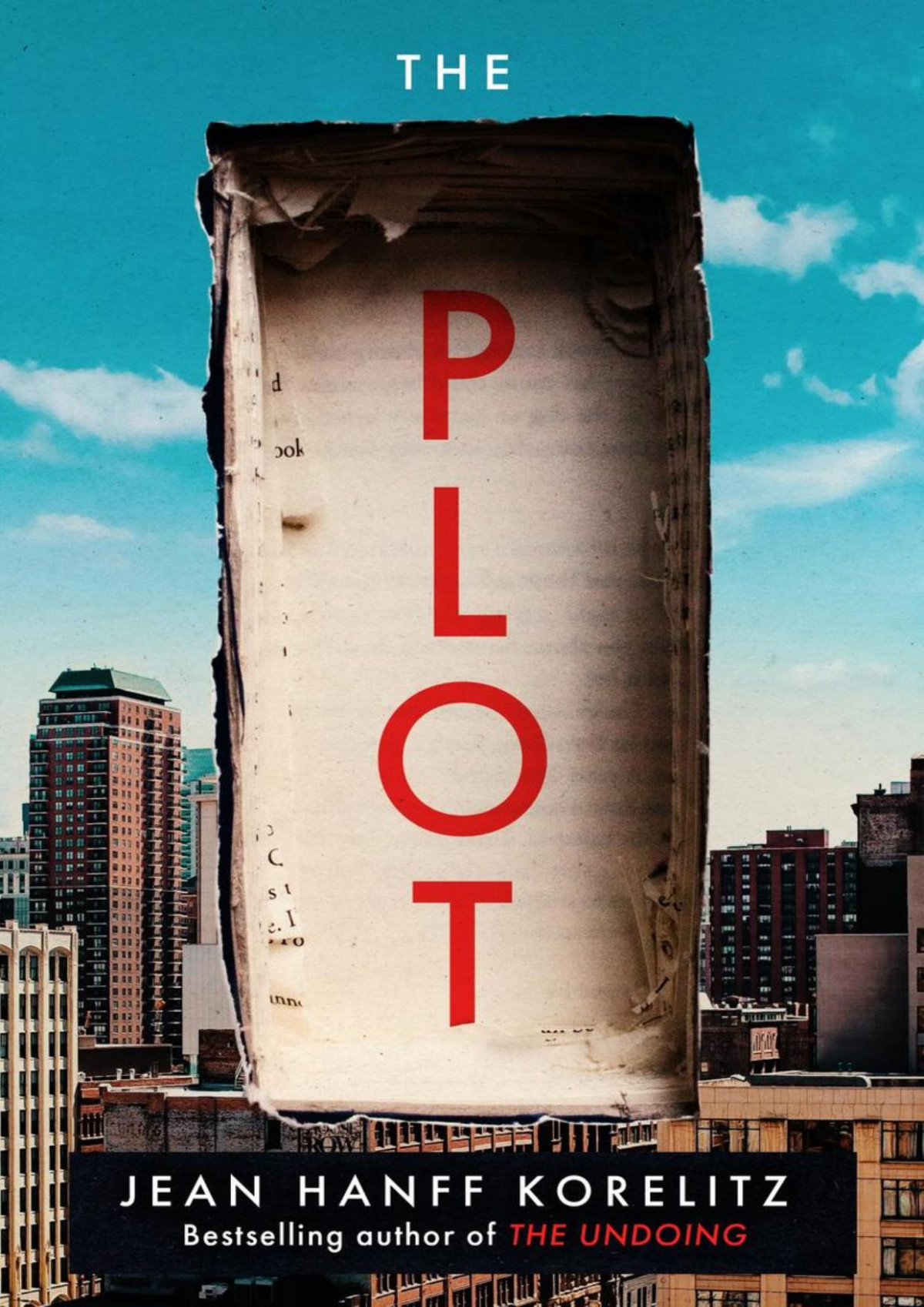The Plot Jean Hanff Korelitz