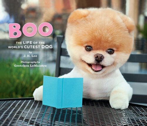 Boo The Life Of The Worlds Cutest Dog J H Lee