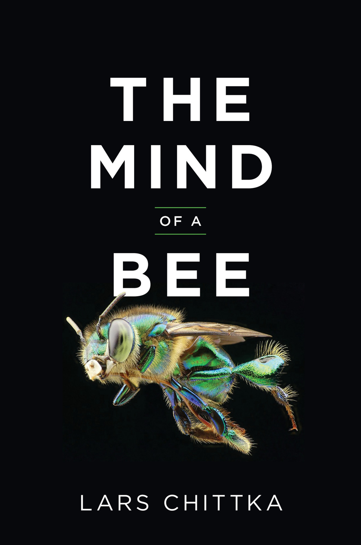 The Mind Of A Bee Lars Chittka