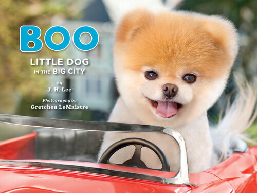 Boo Little Dog In The Big City J H Lee