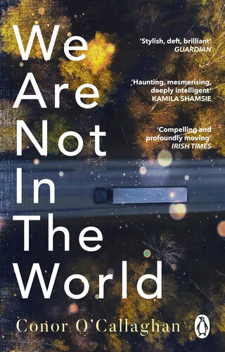 We Are Not In The World Conor Ocallaghan