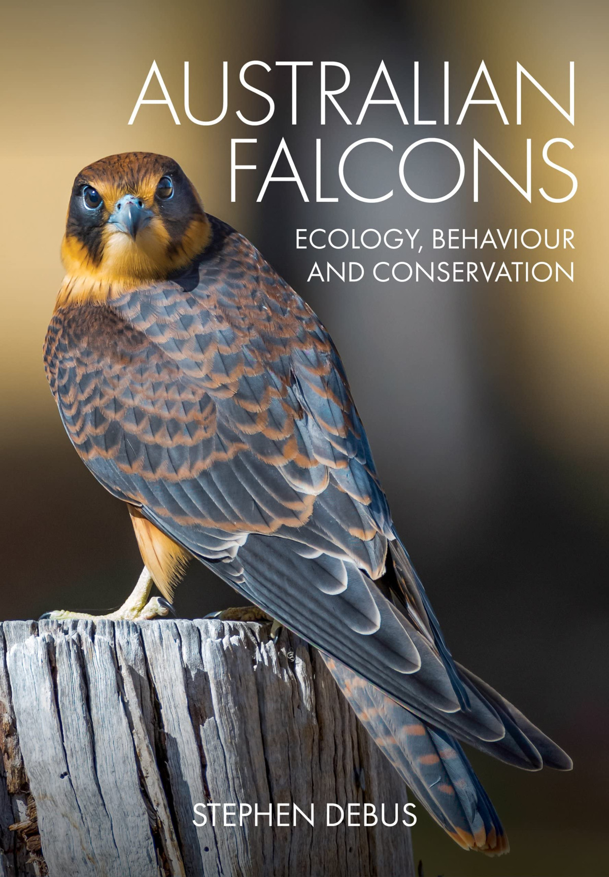 Australian Falcons Ecology Behaviour And Conservation Stephen Debus