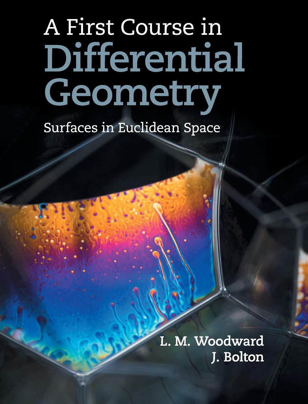 A First Course In Differential Geometry Surfaces In Euclidean Space Instructor Solution Manual Solutions 1st Edition Lyndon Woodward