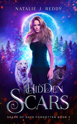 Hidden Scars 1st Edition Natalie J Reddy