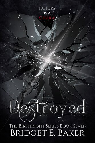 Destroyed Bridget E Baker