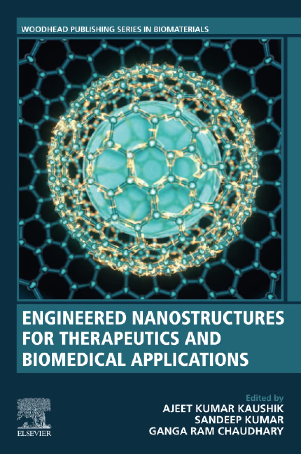 Engineered Nanostructures For Therapeutics And Biomedical Applications Ajeet Kumar Kaushik