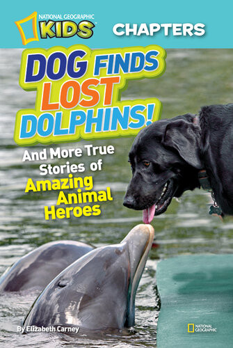 Dog Finds Lost Dolphins And More True Stories Of Amazing Animal Heroes Elizabeth Carney