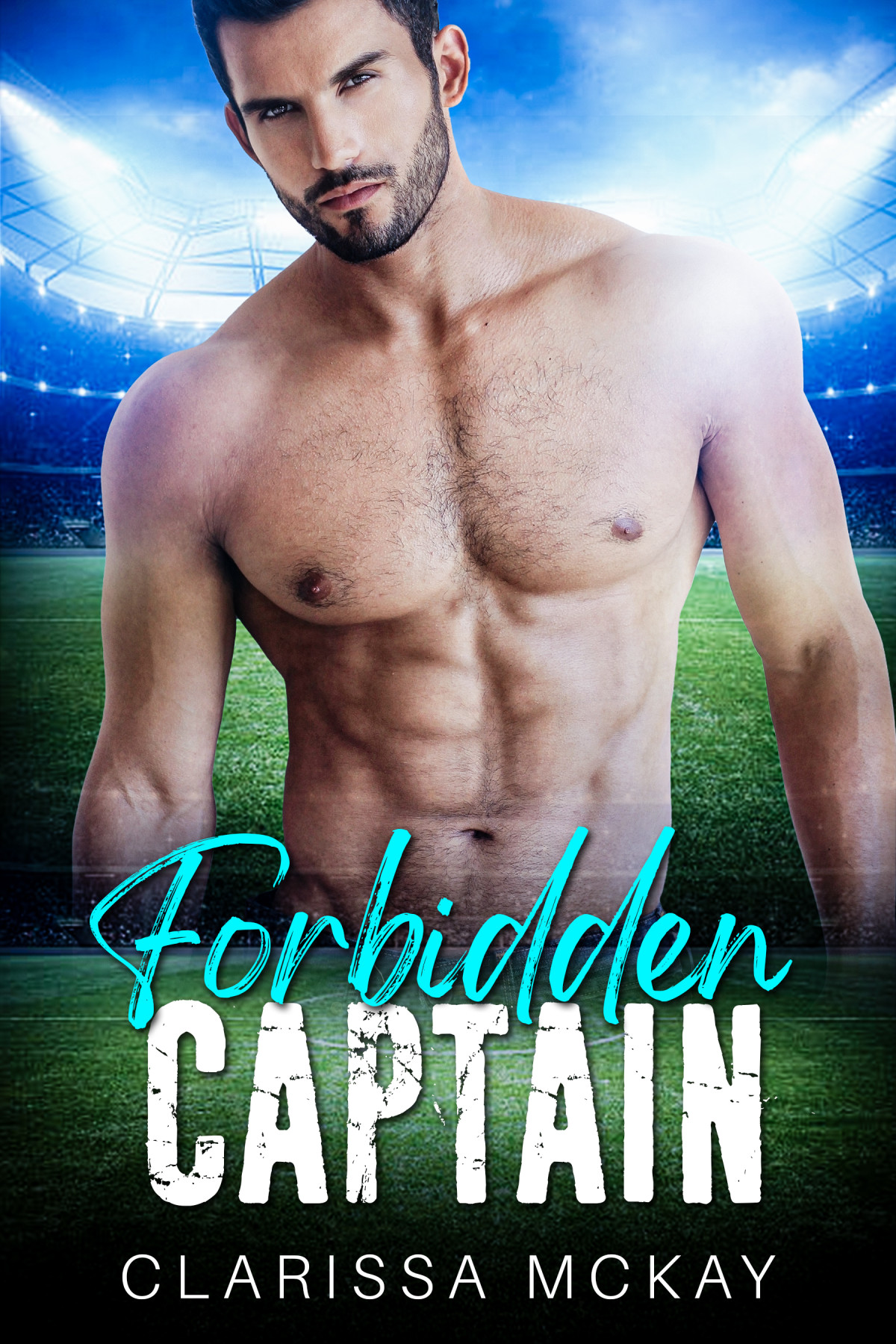 Forbidden Captain A Brothers Best Friend Sports Romance San Francisco Stingers Clarissa Mckay