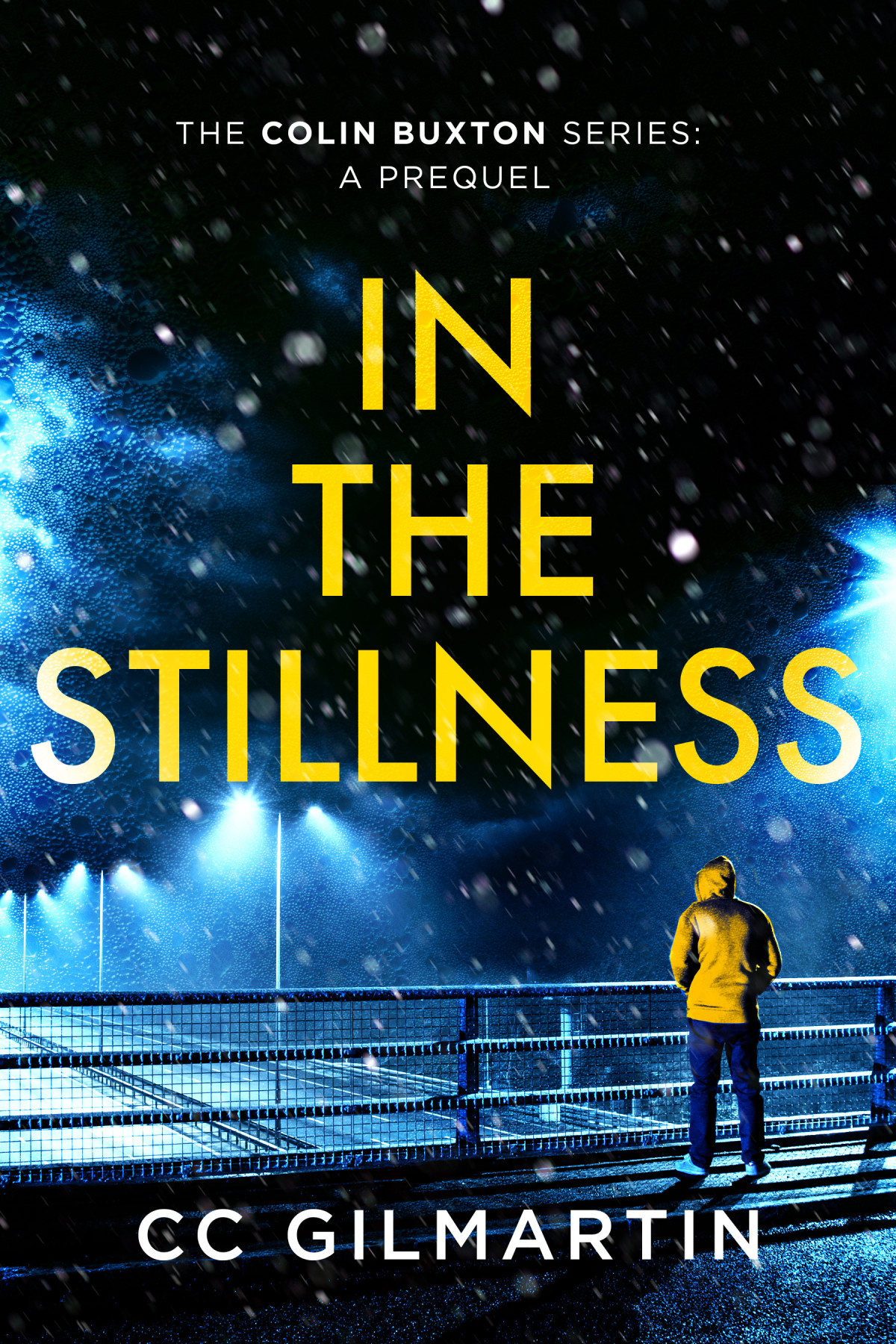 In The Stillness Cc Gilmartin