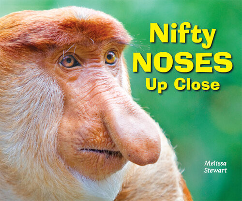 Nifty Noses Up Close Melissa Stewart