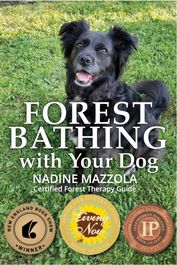 Forest Bathing With Your Dog Nadine Mazzola
