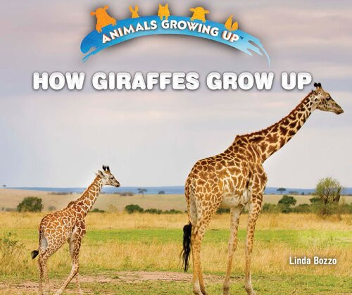 How Giraffes Grow Up Linda Bozzo