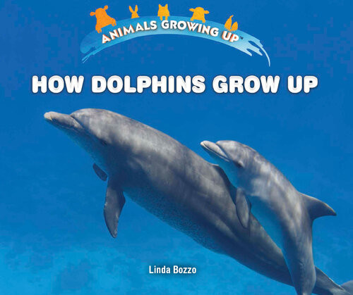 How Dolphins Grow Up Linda Bozzo