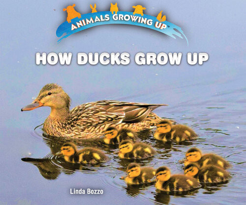 How Ducks Grow Up Linda Bozzo