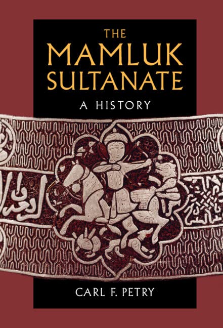 The Mamluk Sultanate A History Carl F Petry