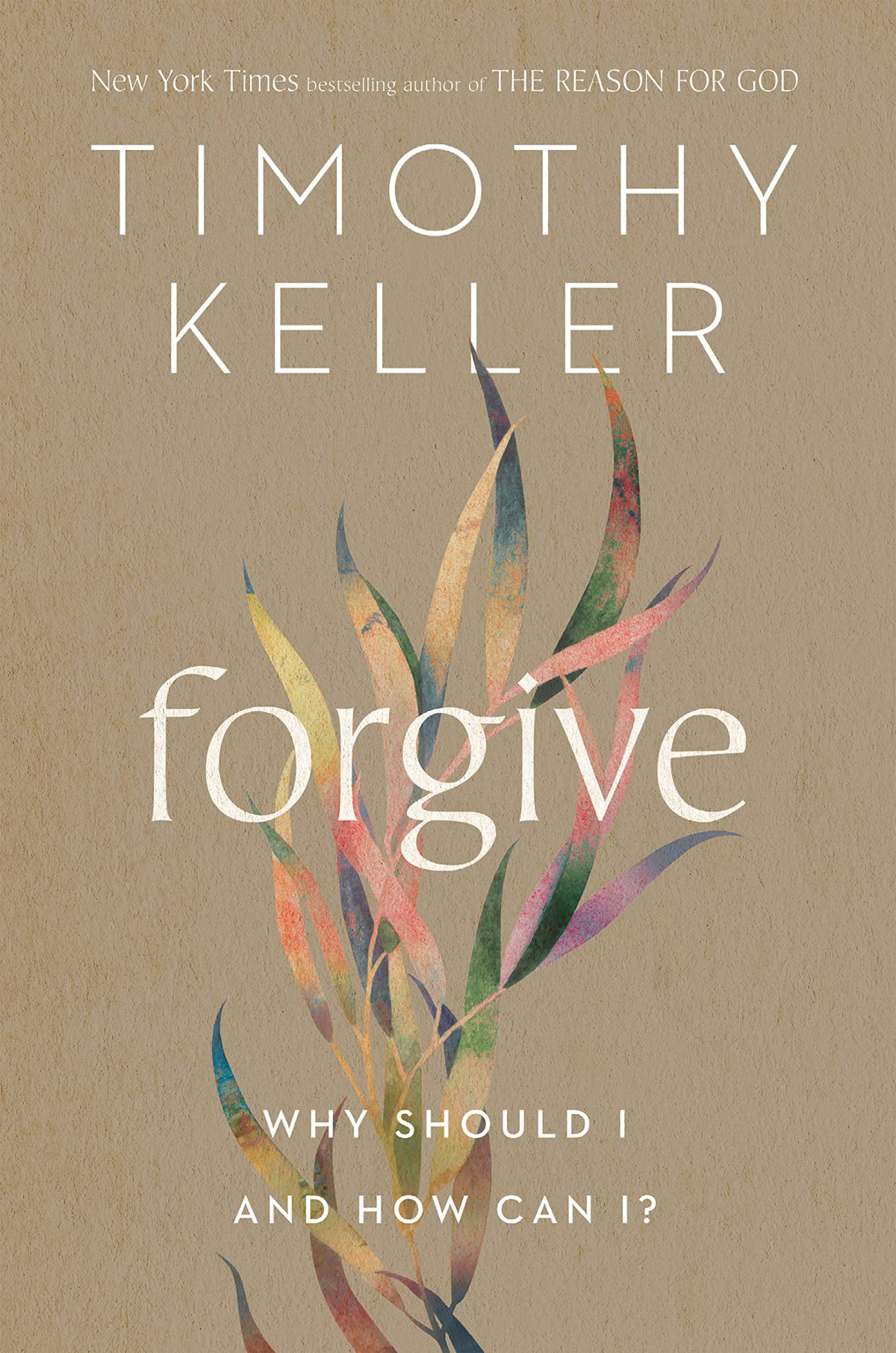 Forgive Why Should I And How Can I Timothy Keller