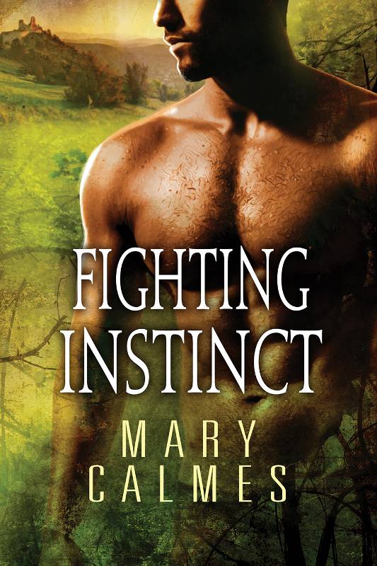 Fighting Instinct Mary Calmes