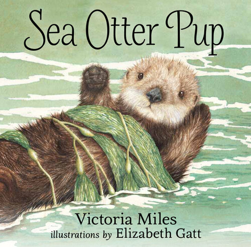 Sea Otter Pup Victoria Miles