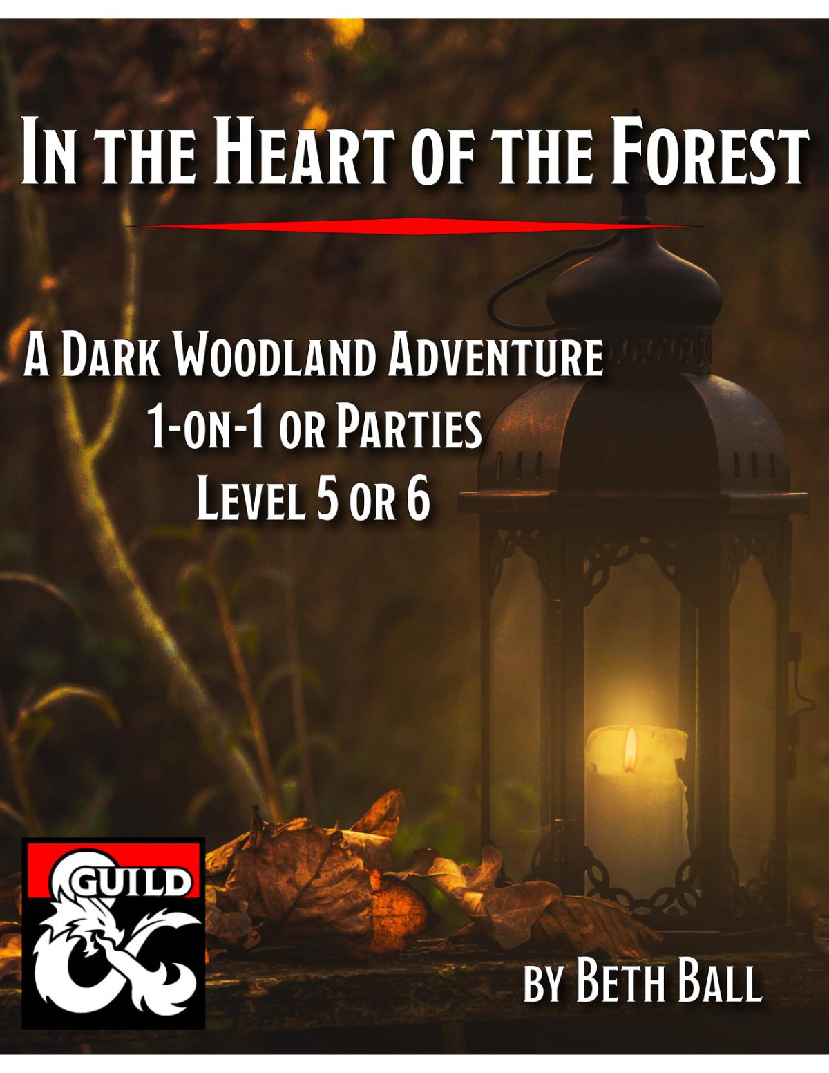 In The Heart Of The Forest Beth Ball