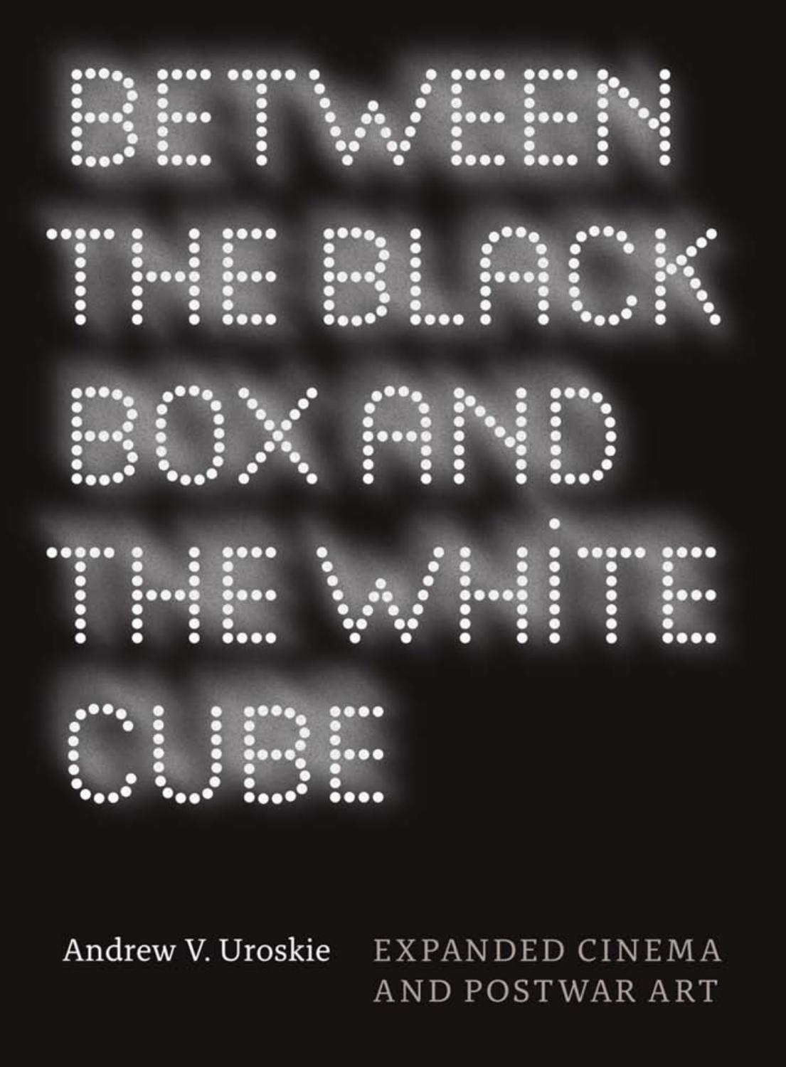 Between The Black Box And The White Cube Andrew V Uroskie