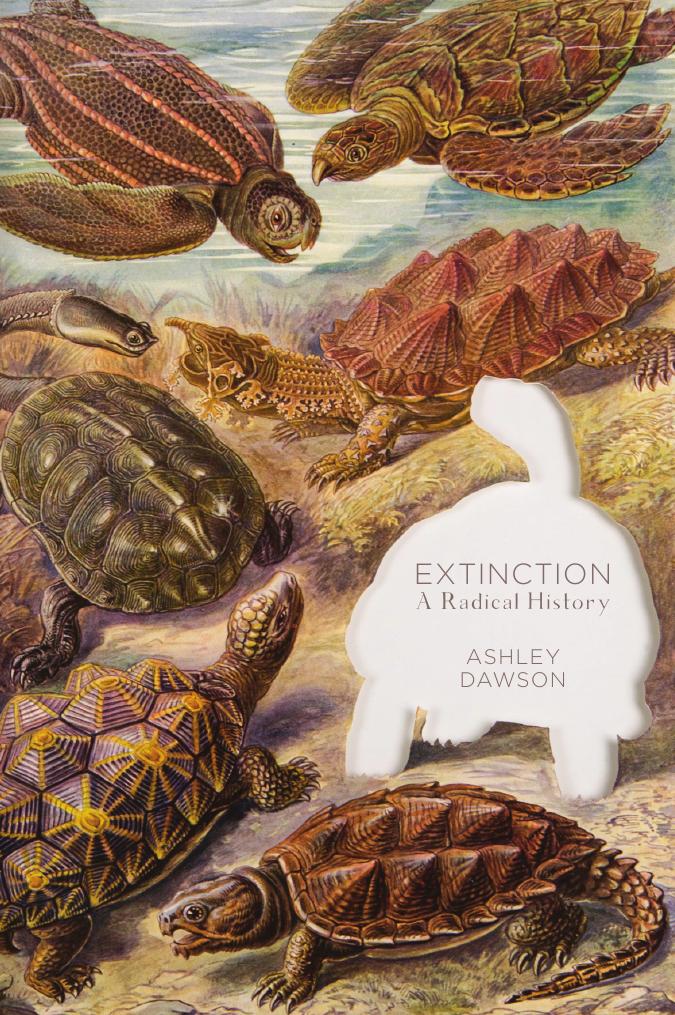 Extinction Ashley Dawson