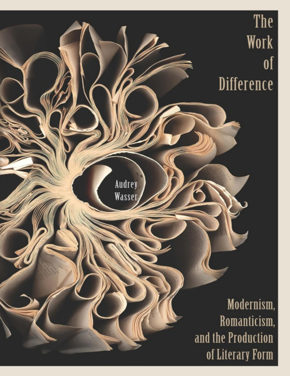 The Work Of Difference Audrey Wasser