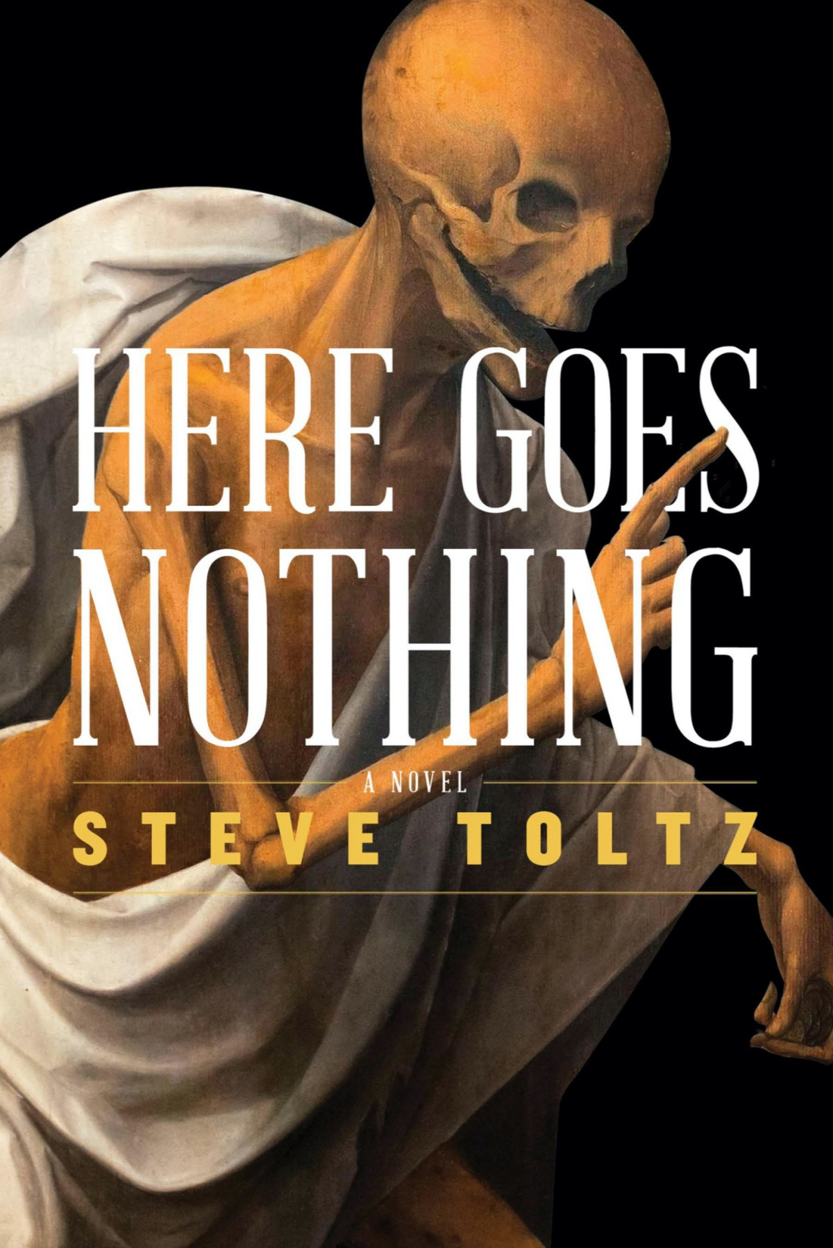 Here Goes Nothing Steve Toltz