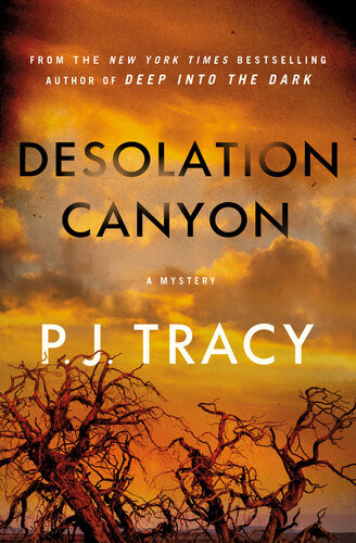 Desolation Canyon A Mystery P J Tracy