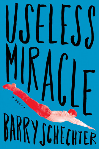 Useless Miracle I Barry Schechter