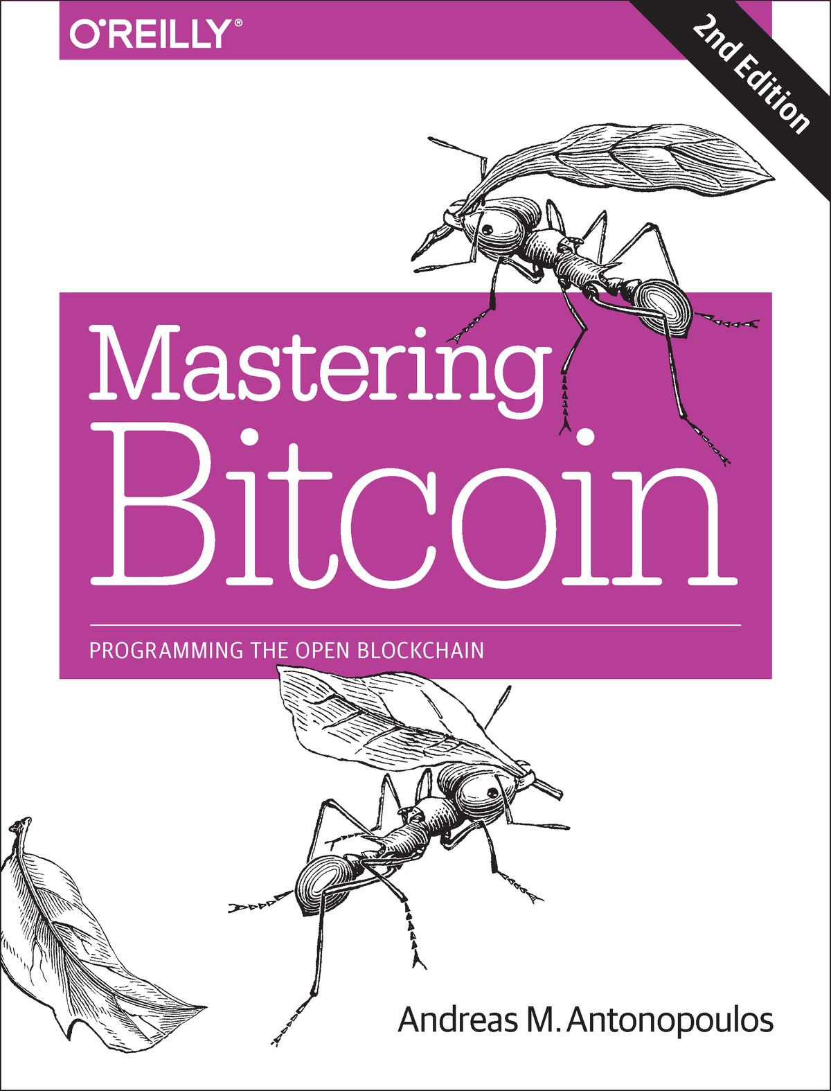 Mastering Bitcoin Programming The Open Blockchain Andreas M Antonopoulos