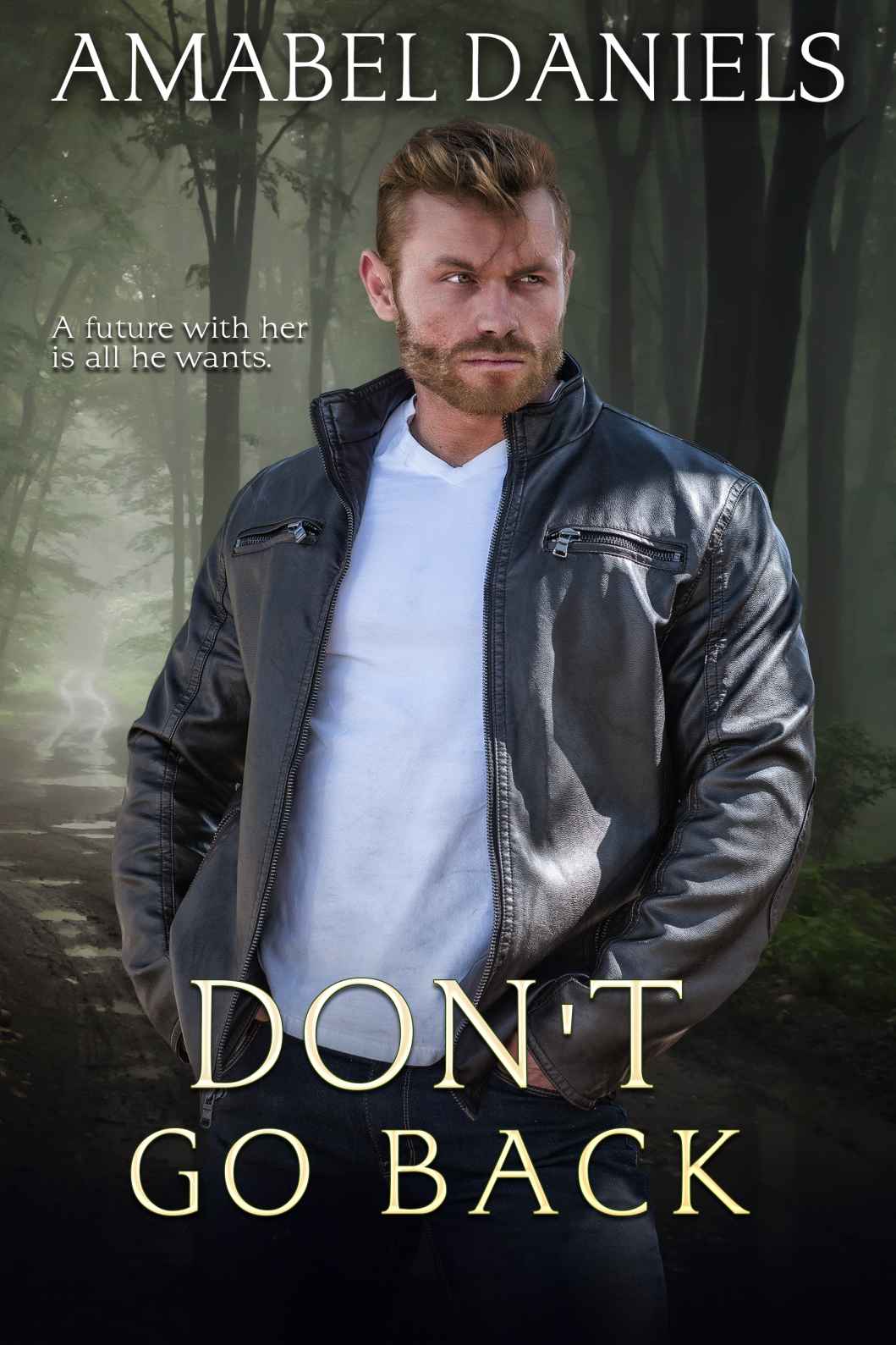 Dont Go Back Amabel Daniels