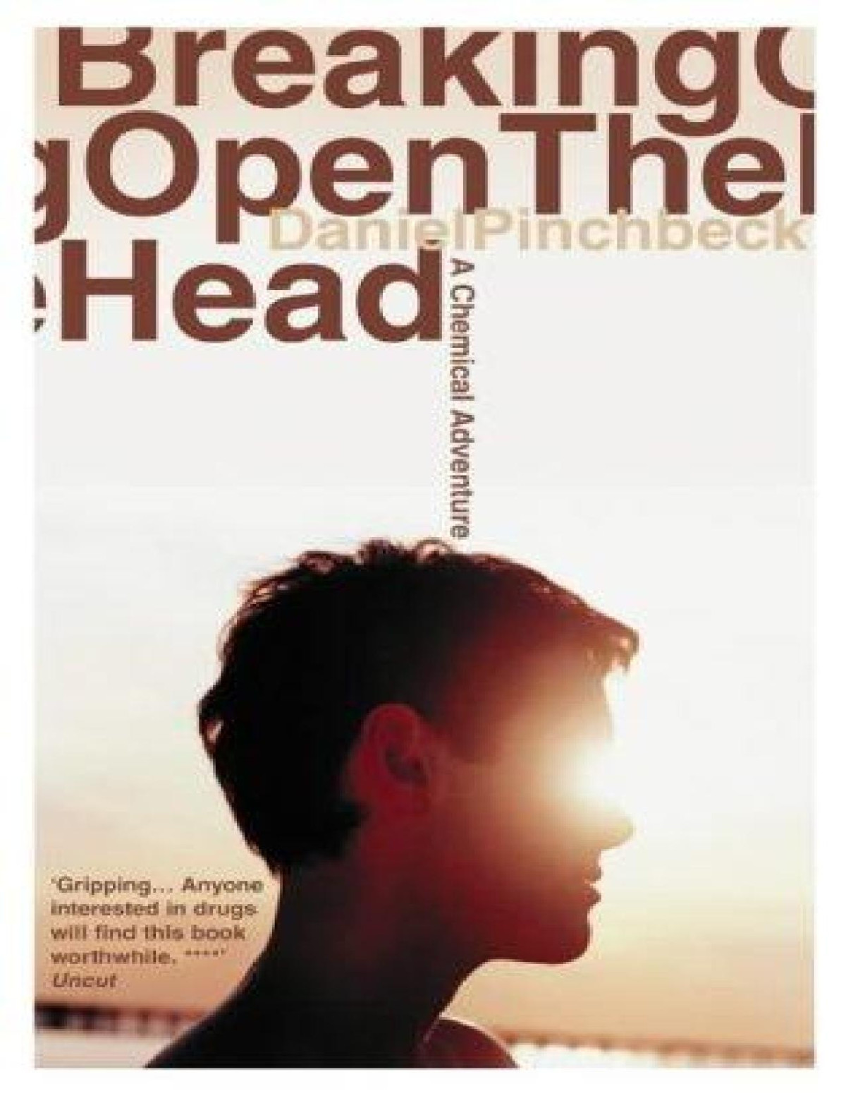Breaking Open The Head Daniel Pinchbeck
